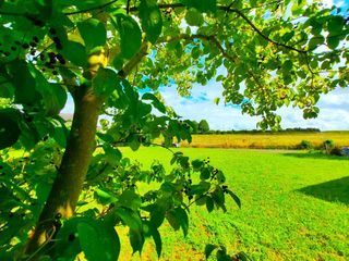  Terrain � vendre 600 m�