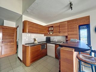  Appartement � vendre 15 + pi�ces 1250 m�