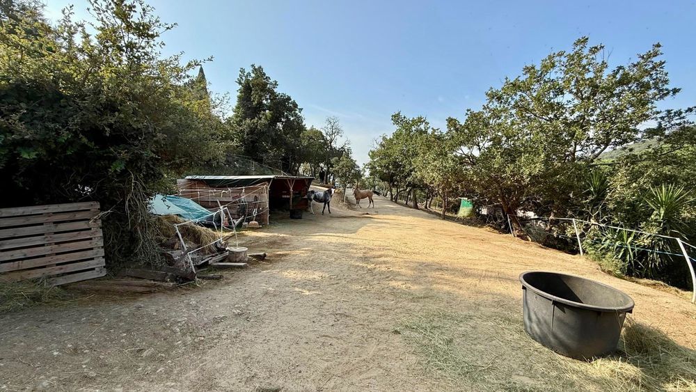 � vendre  Maison Grimaud (83310)