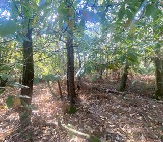  Terrain � vendre 2890 m�