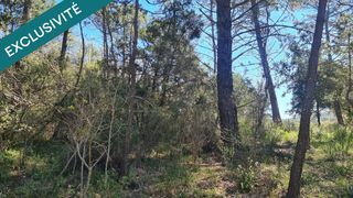  Terrain � vendre 11480 m�