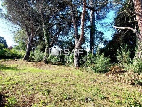 Local &agrave; r&eacute;nover 239000 31320 Castanet-tolosan