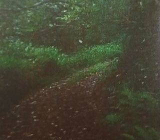  Terrain � vendre 20529 m�