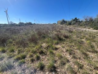  Terrain � vendre 9900 m�