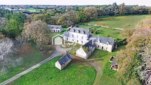   Proche REDON, au coeur de 24ha, propri�t� avec d�pendances. Propri�t�/ch�teau - 13 pi�ce(s) - 420 m�