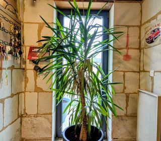  Maison � vendre 9 pi�ces 286 m�