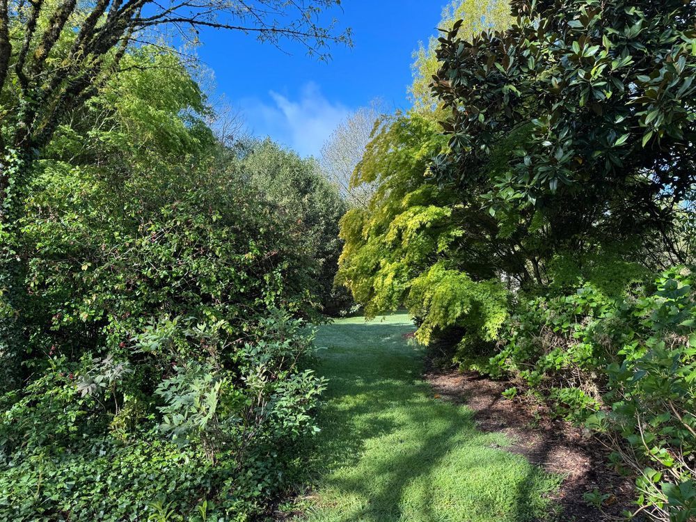 � vendre  Maison La Chapelle-Montbrandeix (87440)