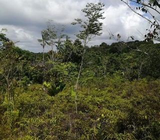  Terrain � vendre 13872 m�