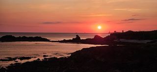  Appartement � vendre 2 pi�ces 21 m�