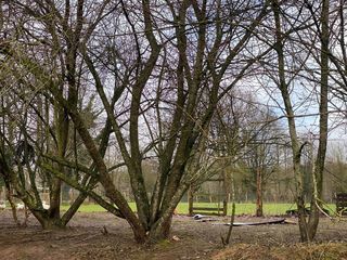  Maison � vendre 2 pi�ces 42 m�