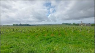  Maison � vendre 7 pi�ces 250 m�