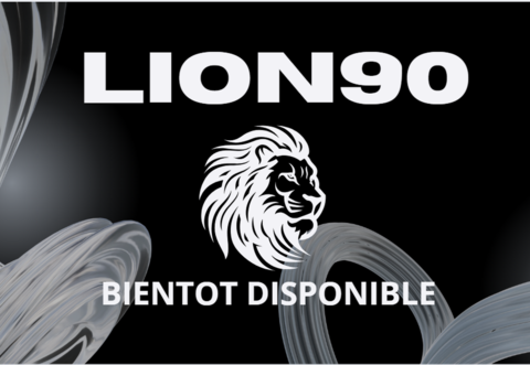 Volkswagen Touareg 5L 310CH VO411 2004 occasion Balgau 68740