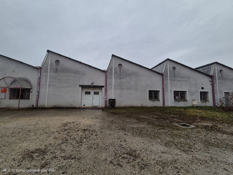 B&acirc;timent industriel / artisanal 1190000 38470 Vinay