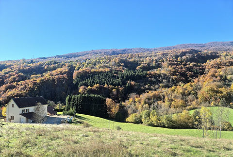   Maison 5 pi�ces Maison - 6 pi�ce(s) - 148 m�