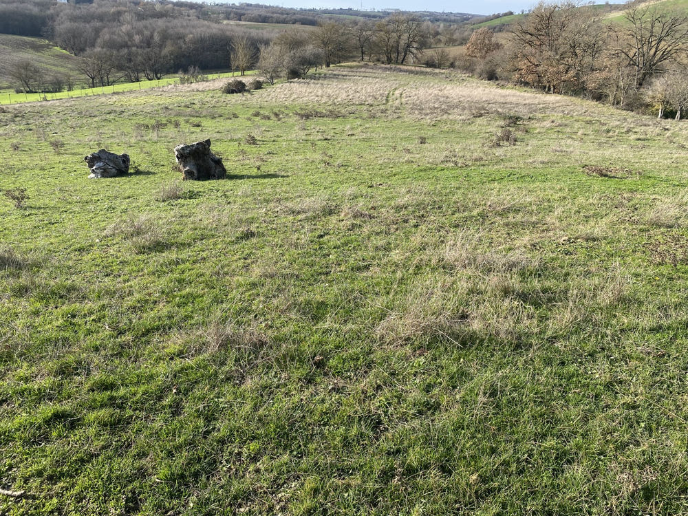 � vendre  Propri�t�/ch�teau Caraman (31460)