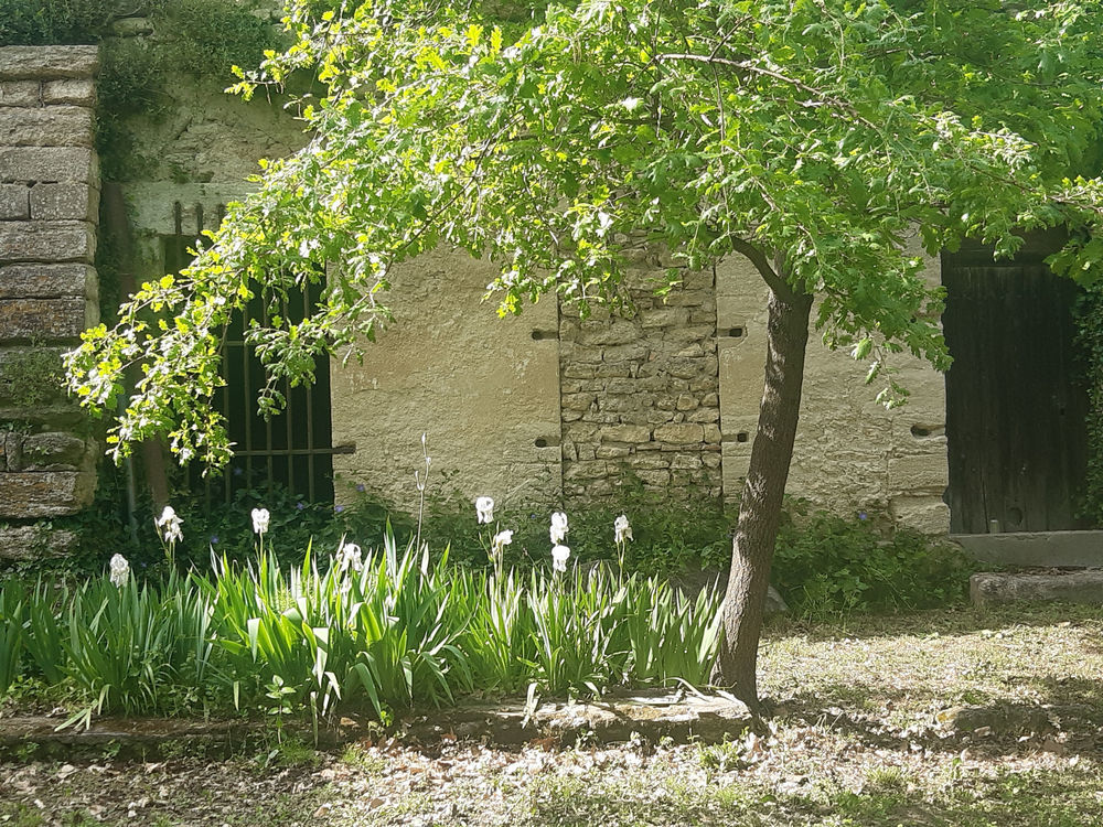 � vendre  Maison Uz�s (30700)