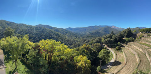   Dpt Gard � vendre LE VIGAN proche Appartement T 2 SH 59 m2 TERRASSE 16 m2 Appartement - 2 pi�ce(s) - 59 m�