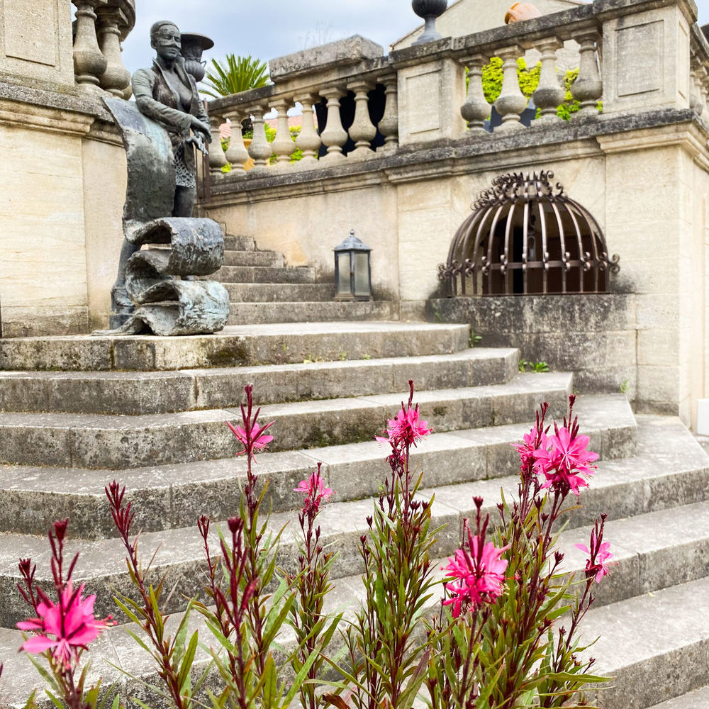 � vendre  Propri�t�/ch�teau Avignon (84000)