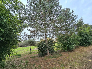  Terrain � vendre 500 m�