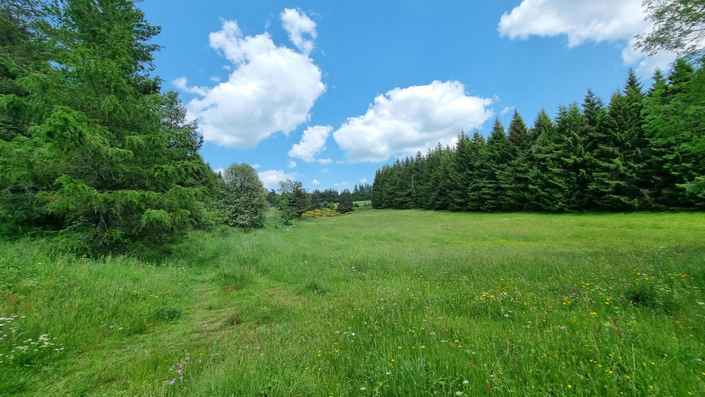 � vendre  Propri�t�/ch�teau Coucouron (07470)