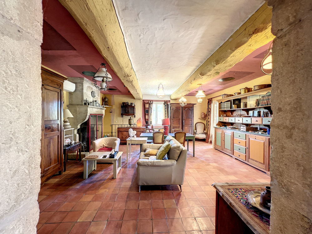 � vendre  Propri�t�/ch�teau Murs (84220)