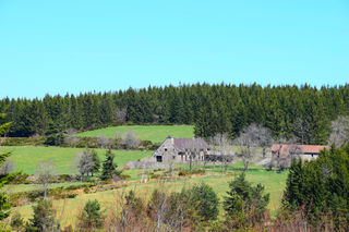  Propri�t�/ch�teau � vendre 14 pi�ces 276 m�