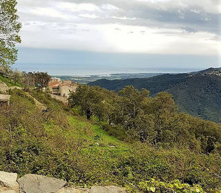  Terrain � vendre 215 m�