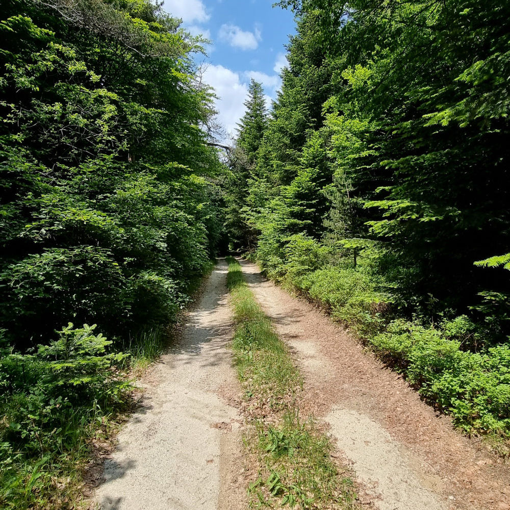 � vendre  Propri�t�/ch�teau Coucouron (07470)