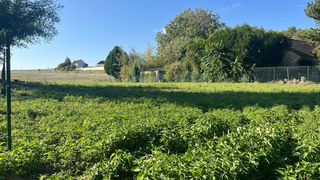  Terrain � vendre 883 m�