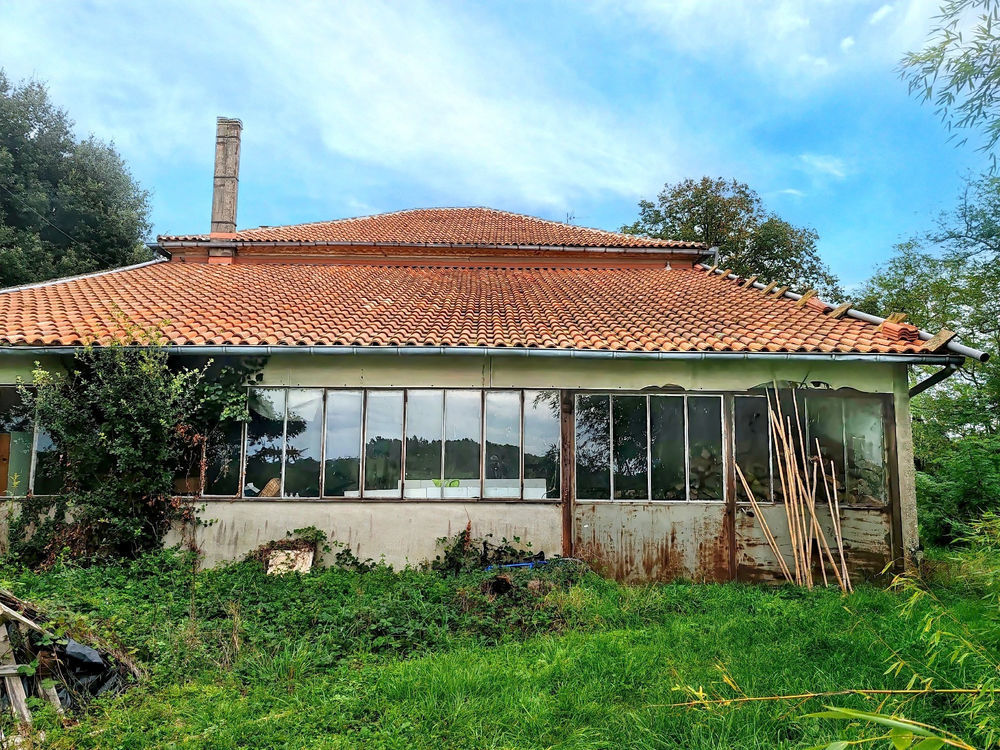 � vendre  Propri�t�/ch�teau Gaillac (81600)