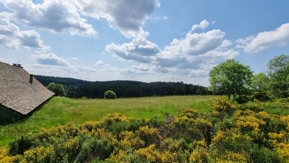 � vendre  Propri�t�/ch�teau Coucouron (07470)