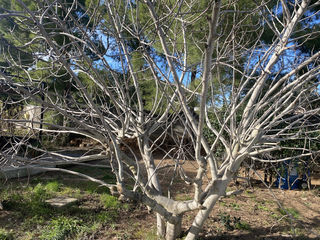  Maison � vendre 6 pi�ces 172 m�