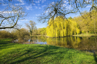  Propri�t�/ch�teau � vendre 8 pi�ces 273 m�