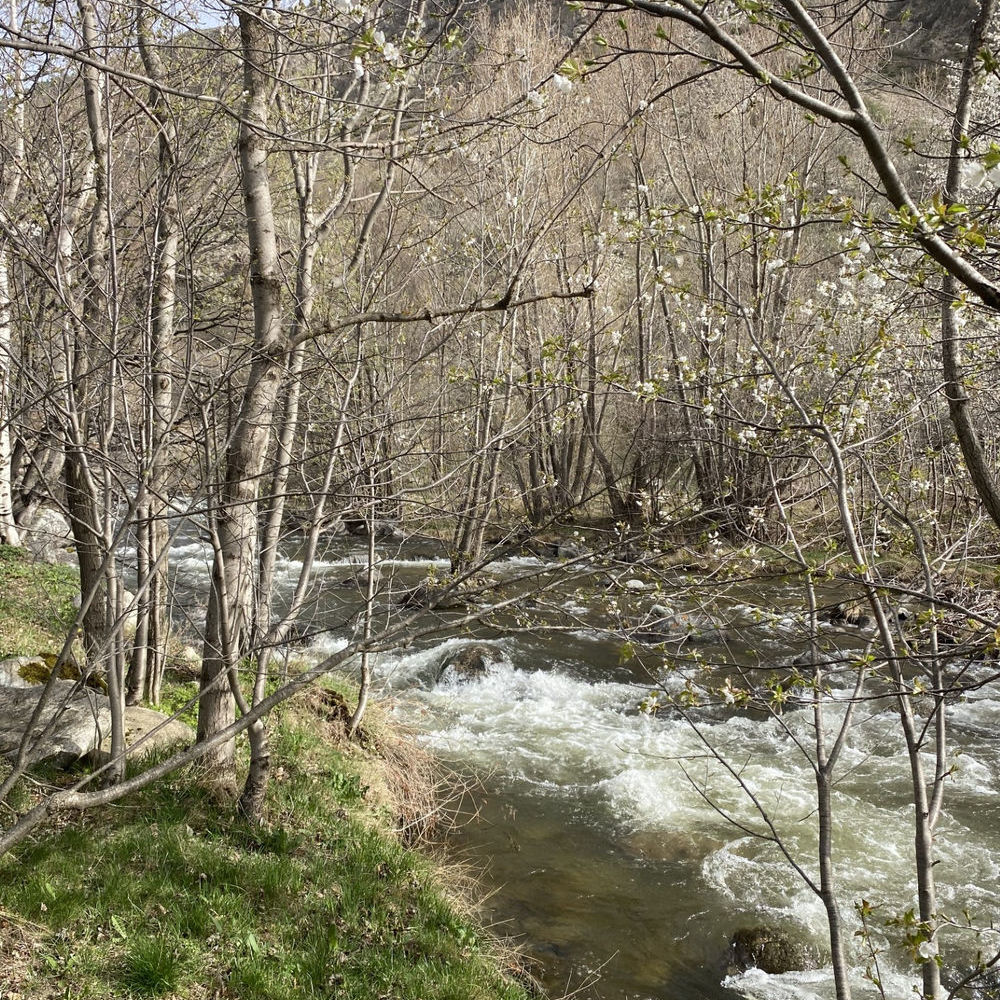 � vendre  Maison Porta (66760)