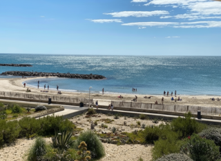  Appartement � vendre 2 pi�ces 35 m�