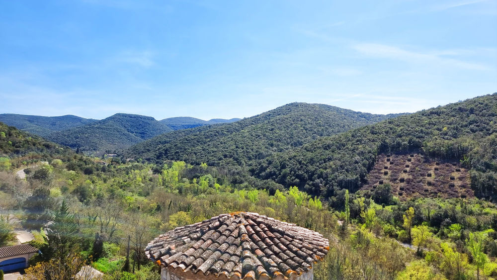 � vendre  Propri�t�/ch�teau Ruoms (07120)