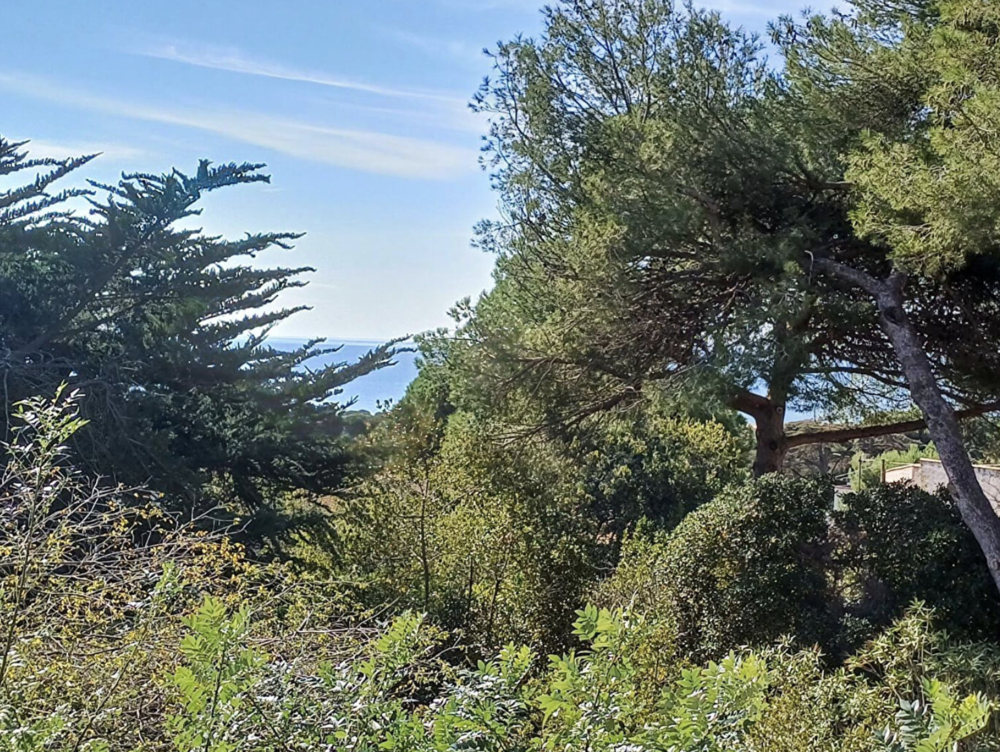 � vendre  Maison S�te (34200)