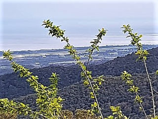  Terrain � vendre 215 m�