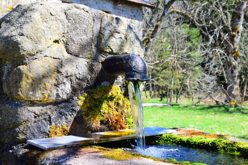 � vendre  Propri�t�/ch�teau Coucouron (07470)