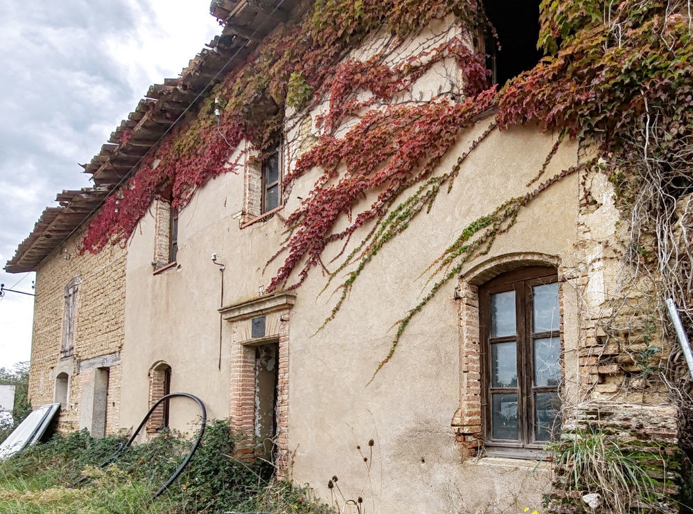 � vendre  Propri�t�/ch�teau Gaillac (81600)