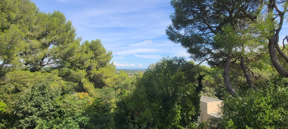 � vendre  Propri�t�/ch�teau N�mes (30000)