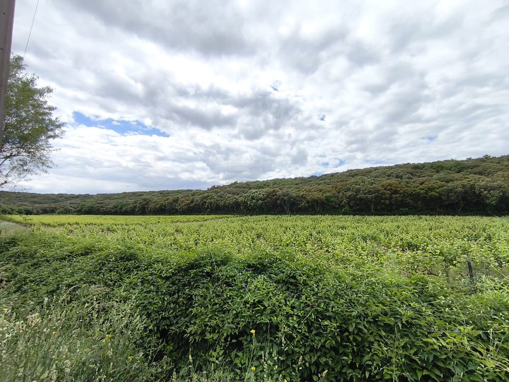 � vendre  Propri�t�/ch�teau Rochefort-du-Gard (30650)