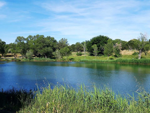   DPT (30) VALLABREGUES A VENDRE MAISON DE VILLAGE  DE 120M2 Maison - 4 pi�ce(s) - 120 m�