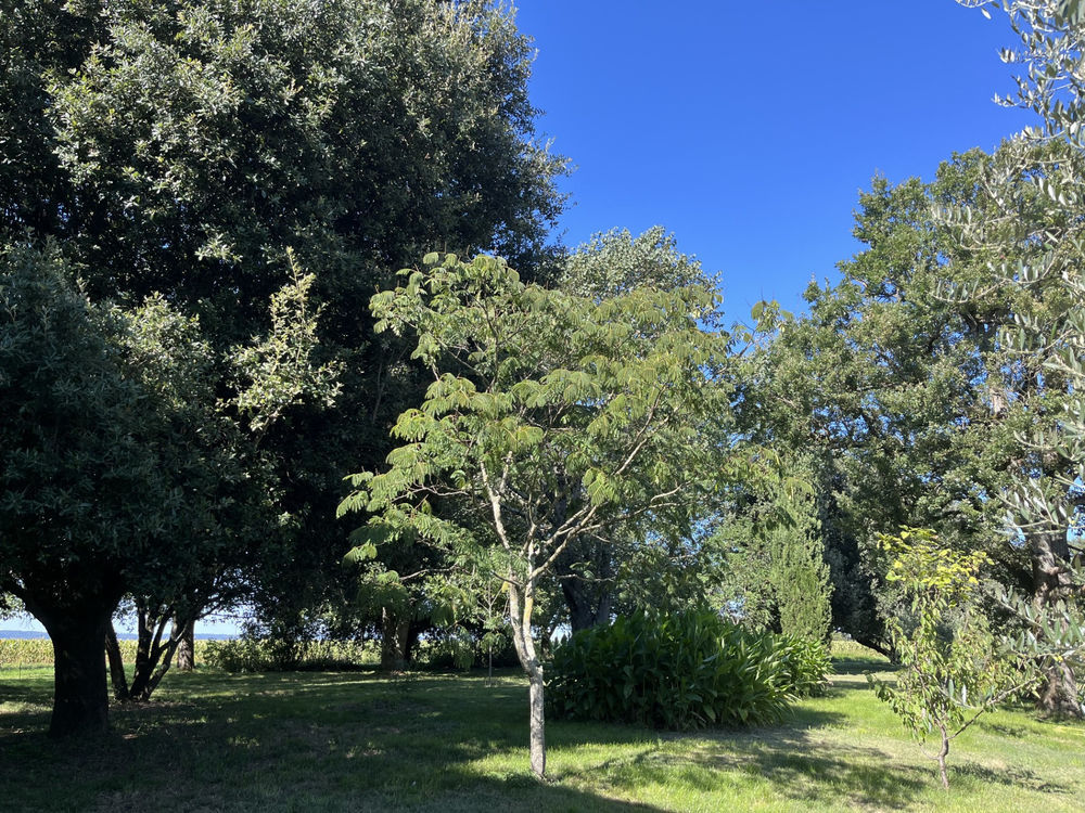 � vendre  Propri�t�/ch�teau Gaillac (81600)