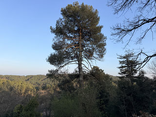  Terrain � vendre 3082 m�