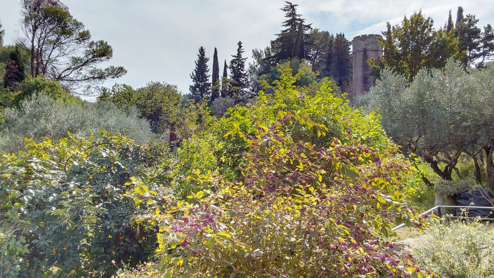 � vendre  Propri�t�/ch�teau N�mes (30000)