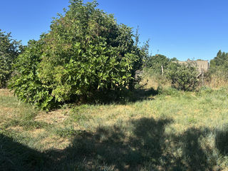  Terrain � vendre 629 m�