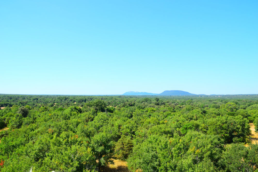 � vendre  Maison Goudargues (30630)