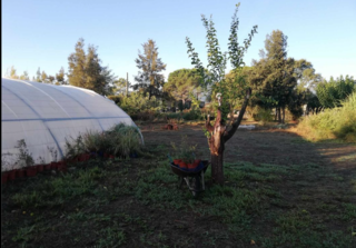  Terrain � vendre 4 pi�ces 6000 m�