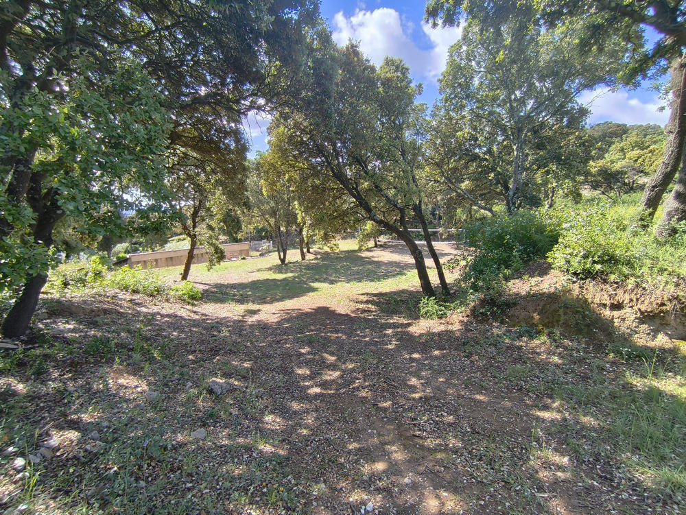 � vendre  Propri�t�/ch�teau Rochefort-du-Gard (30650)